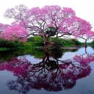 Meet your Posher, Nelda